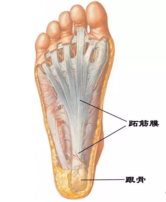 640.webp (21).jpg
