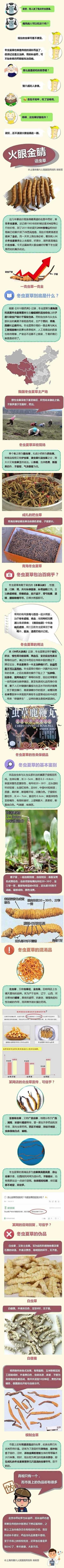 【大医小护供稿】真相只有一个，而冬虫夏草的伪品却有很多.jpg