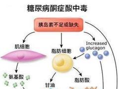 u=3070836916,3243846042&fm=23&gp=0.jpg