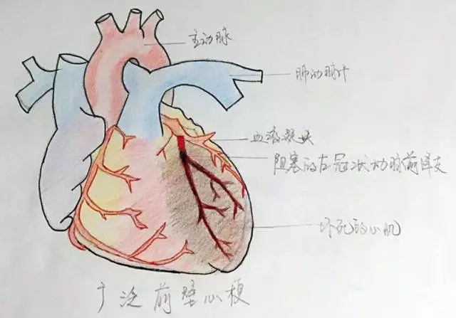 640.webp (6).jpg
