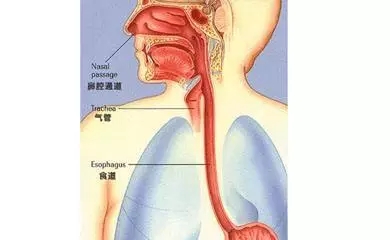 640.webp (62).jpg