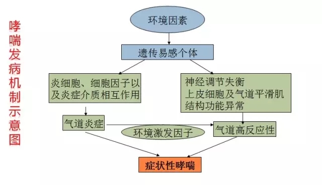 640.webp (2).jpg