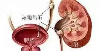 640.webp (72).jpg