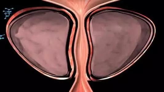 640.webp.jpg