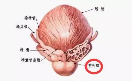 640.webp (1).jpg