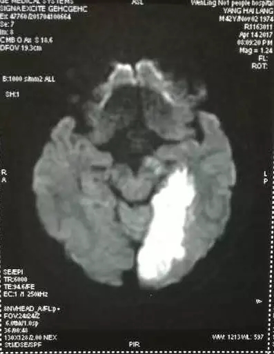 640.webp (37).jpg