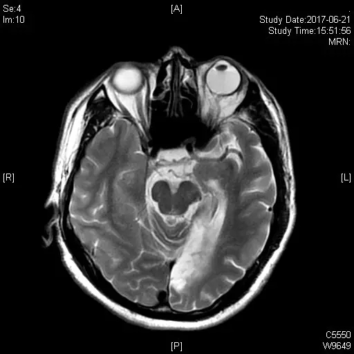 640.webp (38).jpg