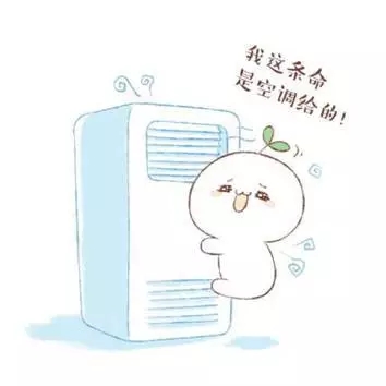 640.webp (39).jpg