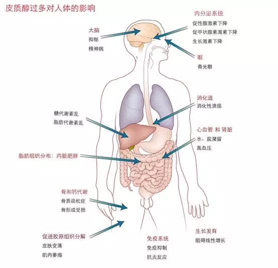 640.webp (3).jpg