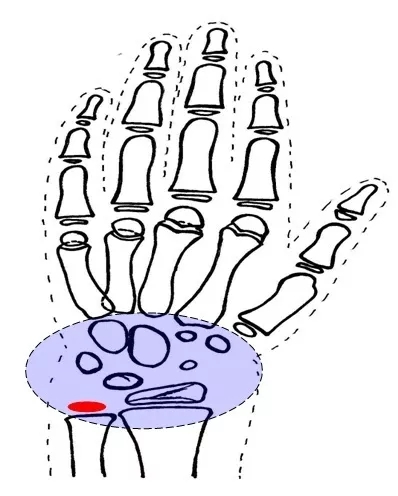 640.webp (79).jpg