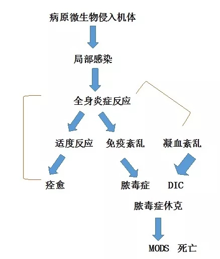 640.webp (95).jpg