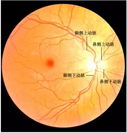 640.webp (19).jpg