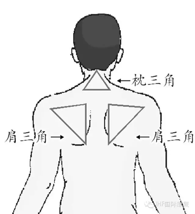 640.webp (13).jpg