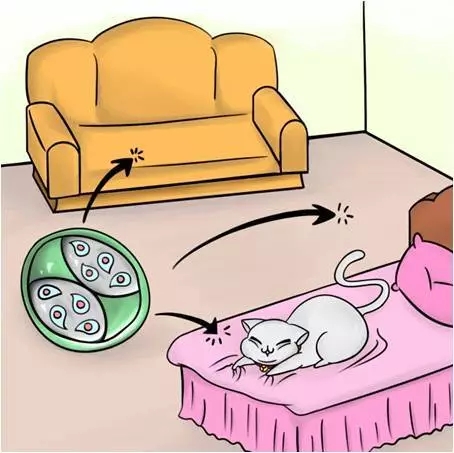 640.webp (6).jpg