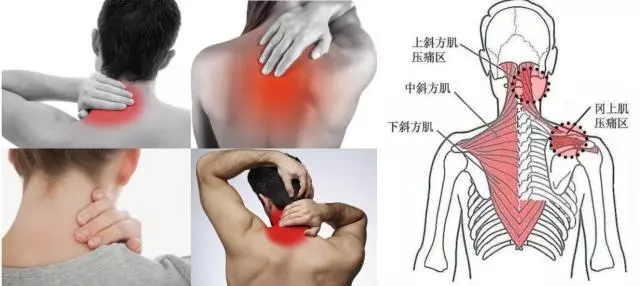 640.webp.jpg