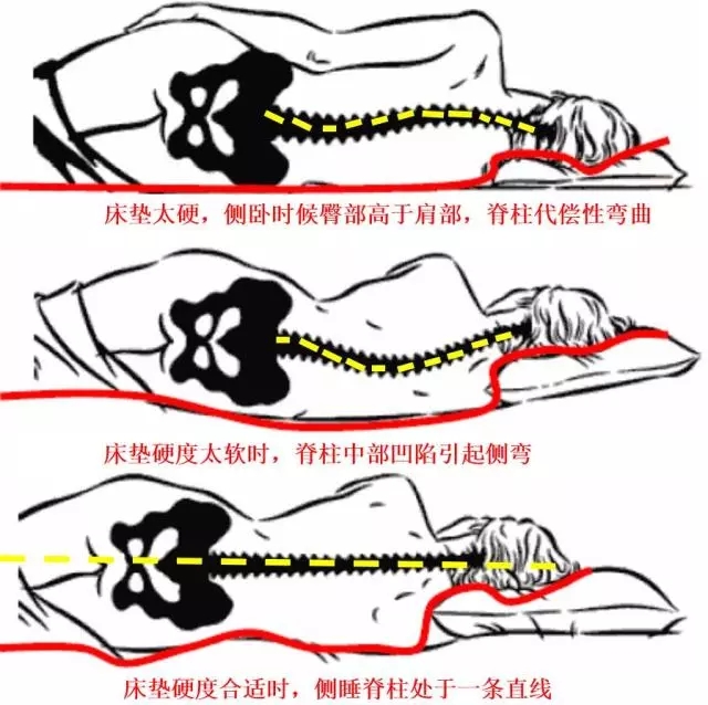 640.webp (7).jpg