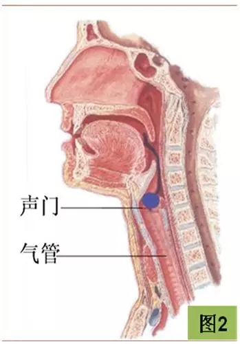 640.webp (1).jpg