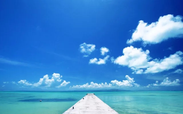 640.webp (9).jpg