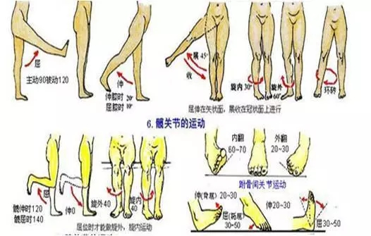 640.webp (7).jpg