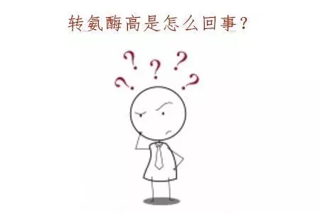 640.webp (11).jpg