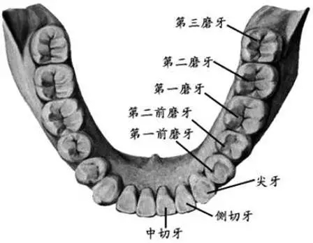 640.webp (5).jpg