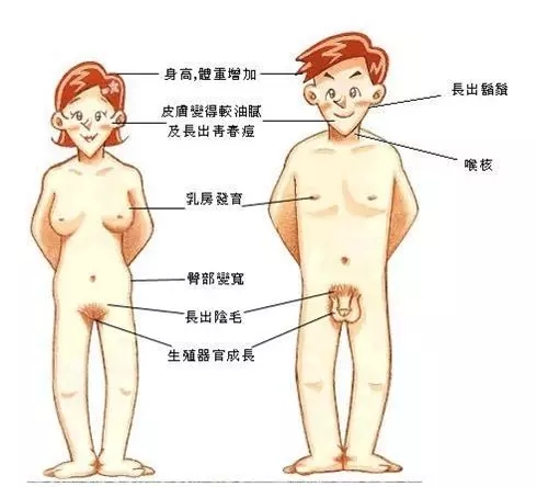 640.webp (3).jpg
