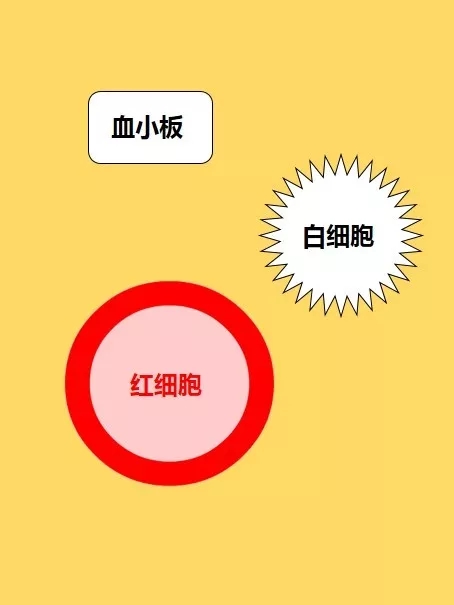 640.webp.jpg