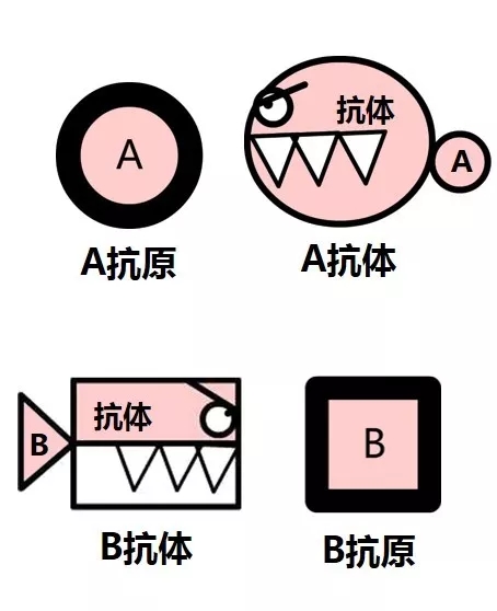 1525002522735303.jpg 640.webp (2).jpg