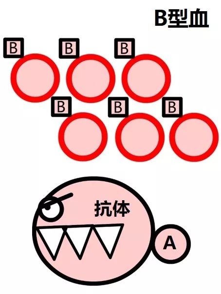 1525002589576476.jpg 640.webp (4).jpg