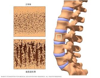 1528008033121218.jpg 图片6.jpg
