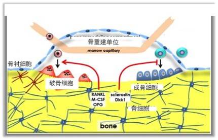 1528008038604624.jpg 图片5.jpg