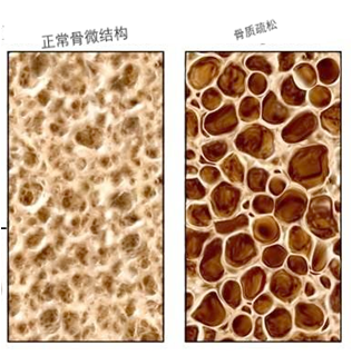 1528008050525581.png 图片4.png