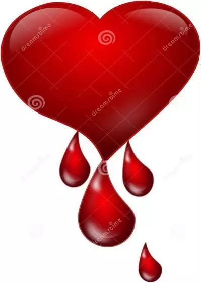 640.webp (8).jpg