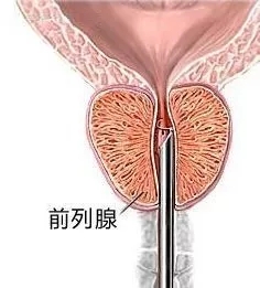 640.webp (12).jpg