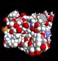 640.webp (3).jpg