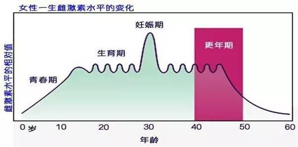 640.webp (12).jpg