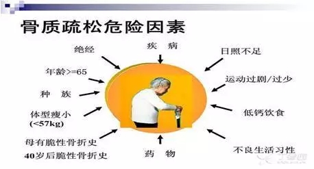 640.webp (14).jpg