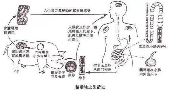 1538467237706286.jpg 图片3.jpg