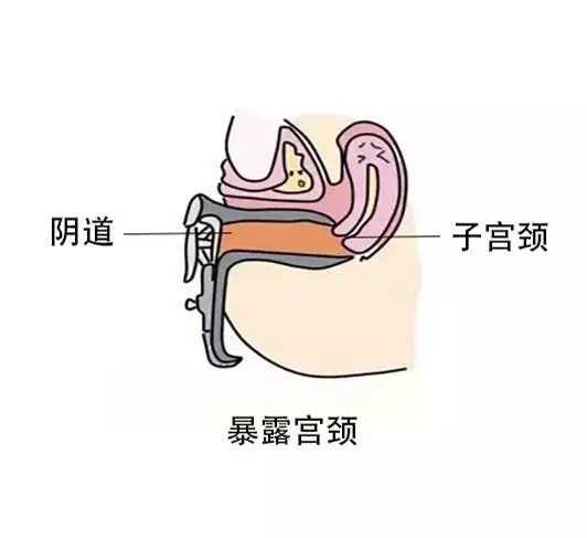 640.webp (6).jpg