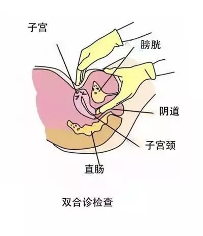 640.webp (7).jpg