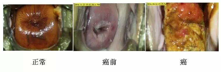 640.webp (13).jpg