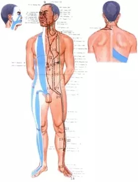 1541245575183488.jpg 640 (1).webp (2).jpg