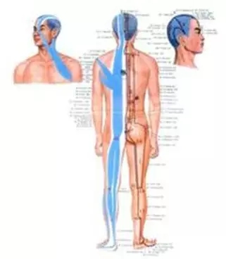 1541245602956701.jpg 640 (1).webp (3).jpg