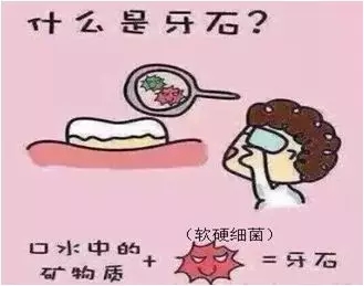 640.webp (8).jpg