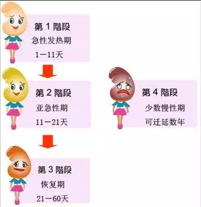 640.webp (38).jpg
