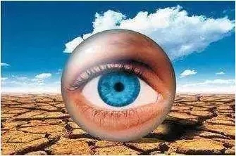 1543479341864413.jpg 640.webp (45).jpg