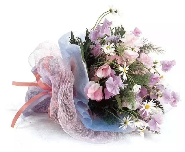 640.webp (24).jpg