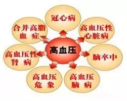 640.webp (21).jpg