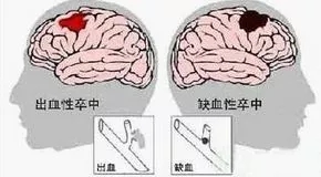 1544532529806166.jpg 640.webp (59).jpg