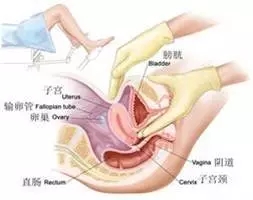 640.webp (6).jpg